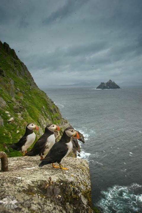 Skellig Port Accomodation - Sea View Rooms Ensuite Portmagee Exterior foto