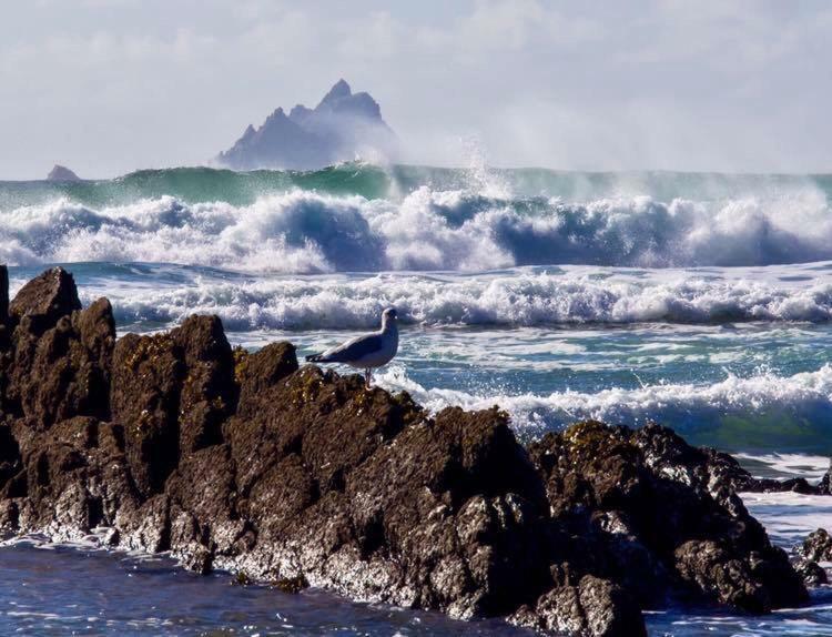Skellig Port Accomodation - Sea View Rooms Ensuite Portmagee Exterior foto